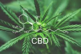 Thc can be detected in saliva within minutes and up to 2 days. How Long Does Cbd Stay In Your System Urine Blood Hair