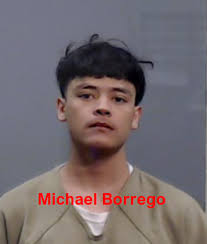 Three arrested after weekend Kia thefts