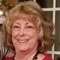 Lynn Solomon's Instagram, Twitter & Facebook