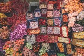 A modest change in the milk market was enough to essentially wipe out. Where Are All The Flowers From Unearth Taipei Flowers Auction With Ching Flowers Taiwan Scene Taiwan Digital Travel Magazine