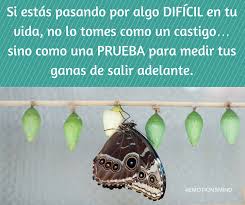 Pin En Frases Reflexiones