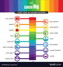 Vector Color Chart At Getdrawings Com Free For Personal