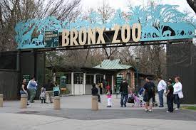 Teach Me How To Josh Visit New York Bronx Zoo New York Travel