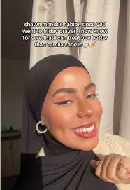 Shawn Mendes: Comedy and Satire in TikTok Culture