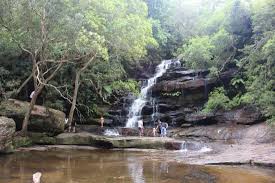 Somersby falls have middle falls and bottom falls. Somersby Falls Picture Of Somersby Falls Picnic Grounds Gosford Tripadvisor