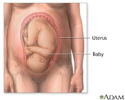 Ini ikhlas dibuat untuk para perokok dan juga merupakan sebahagian daripada tugasan.minta kerjasama untuk menonton.hehehehe :d. Kedudukan Baby Dalam Kandungan Ultrasound Scan Baby Malaysia Dr Siti Scan