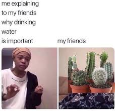 It's safe for drinking and is even known to be better absorbed and retained in the body. Drink Water God Damnit Hydrohomies
