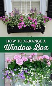 These flowers are known for their heat resistance and prefer warm best flowers for full sun | heat the portulacas worth a place in your container garden, in hanging baskets or window boxes the blooms look so attractive and become excellent cut flowers. Image Result For Best Flowers For Full Sun Window Boxes Window Box Flowers Window Box Plants Gorgeous Window Boxes