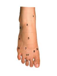 These spurs lead to inflammation of soft. Foot Condition By Area Top Of Foot Foot Pain Diagram Sol Foot Ankle Centers