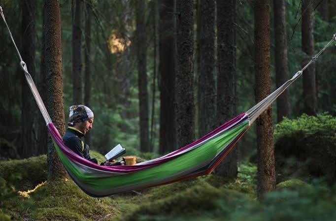 Image result for Tips for Choosing the Perfect Hammock"
