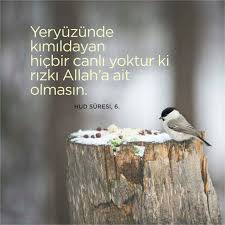Mahinur Adli Kullanicinin Allahu Teala Buyuruyorki Dinleyelim Panosundaki Pin Guzel Soz