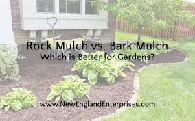You can find the best landscapers on bark. Rock Mulch Vs Bark Mulch Which Is Better New England Enterprises