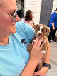 Spicy Margarita or hold the spice and pick your favorite tequila splashed  around with fresh watermelon! The Back Bar