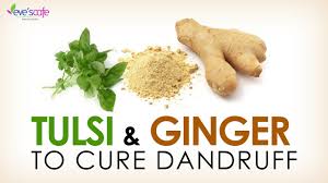 Natural Remedies For Dandruff Treat Itchy Scalp Naturally Youtube