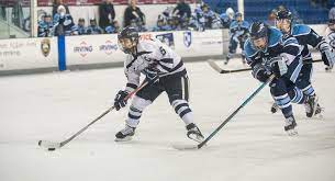 Unh Star Jonna Curtis Joins Hometown Whitecaps Jonnacurtis Kateschipper Leestecklein Topstory Hockey World Usa Today Sports Vancouver Canucks