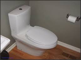 Inspirational American Standard Toilets Parts Home Depot