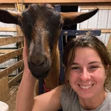 Where to find a Nigerian Dwarf Buck for stud service in Indiana?