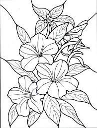 Coloring book for adults,the branch of flowers. Hawaiian Flower Colouring Pages Page 2 Printable Flower Coloring Pages Flower Coloring Sheets Flower Coloring Pages
