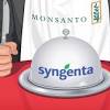Story image for monsanto india from Bidness ETC