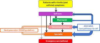 Aria Guideline 2019 Treatment Of Allergic Rhinitis In The