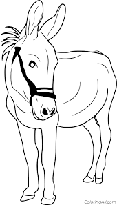 Find ideas and activities to spark curiosity and play your way all summer long! Realistic Donkey Coloring Page Coloringall