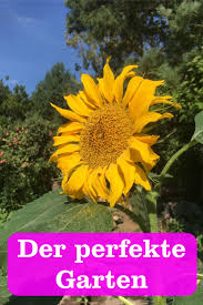 Der Perfekte Garten Gartenbob De Der Garten Ratgeber Garten Pflanzen Gartenblog