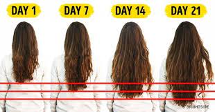 7 Foods You Need To Accelerate Hair Growth Accelerate Hair Growth Grow Long Hair Hair Growth Foods