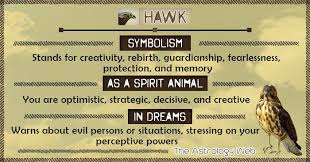 What Does A Hawk Symbolize A Hawk Symbolizes Illumination Creativity Rebirth Guardianship Strategy Animal Spirit Guides Hawk Spirit Animal Hawk Symbolism