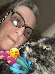 Lost cat in Stillwater area, please text with information