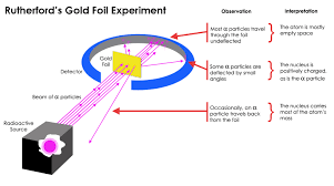 Ernest rutherford's famous gold foil experiment involves the scattering of alpha particles as they pass through a thin gold foil.it led to a better understan. How Did Rutherford S Gold Foil Experiment Differ From His Expectations Socratic