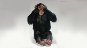 Monkey 3 wallpaper was added in 29 jan 2013. Three Wise Monkeys Wallpapers Desktop Background
