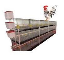 Cage à œufs automatique, cage pour élevage des oiseaux, couche supérieure,  9 pièces, accessoires complets pour élevage de poulet