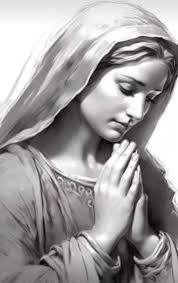 Marco Freda (marcofreda04)