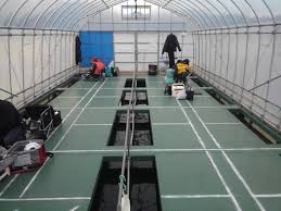 鈴＞私の地元！！相模原市津久井湖2連釣行！！ - ワカサギ最前線ブログ