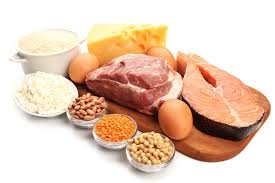 Sono quelli che vengono usati per fornire il necessario apporto di proteine nei momenti in cui gli uccelli ne hanno il loro tenore proteico è minore di quello dell'uovo, ma risultando più simili a quello di cui gli animali si nutrono in natura sono, a mio modesto parere. Quali Sono Gli Alimenti Piu Ricchi Di Proteine