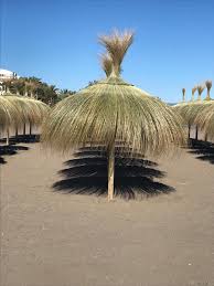 Parasol Carritx Parasol Plage Bars De Plage Paillote Plage