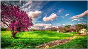 Other wallpapers you might like. Spring Farm House Landscape Wallpaper Spring Farm House Landscape Wallpaper 1080p Spring Farm Hous Scenery Wallpaper Spring Wallpaper Hd Landscape Wallpaper