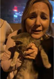 Stray Cats Bar Shreveport La