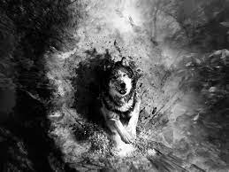Check spelling or type a new query. Picture Of A Black Wolf Wallpaper Black And White Wolf Background 1024x768 Wallpaper Teahub Io