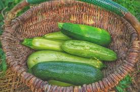 Un modo può essere quello di inserirle nel menu. Come Coltivare Zucchine Con Successo