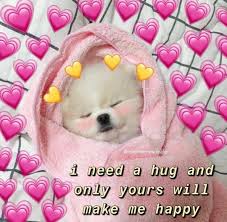 Pure Choild Bnha Reader Insert Hiatus Cute Love Memes Happy Memes Cute Memes