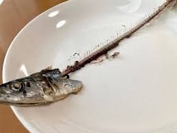 焼き魚の裏ワザ】え、大学教授直伝⁉「さんまの骨をスルッときれいに取る方法」を試してみた♪ (2023年10月6日) - エキサイトニュース