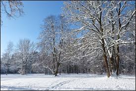 Some are so magnificent that if we had more time, we would have spent a whole day jumping on and off trains to walk through and photograph them. Munchen Am Mittwoch 1 Schnee Im Englischen Garten Gipfelgluck