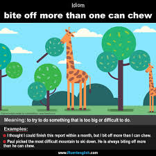 Bite Off More Than You Can Chew Sentence Examples Epingle Sur Ifluent English Lesson Blog