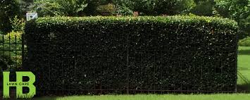 Check spelling or type a new query. Landscape Maintenance Services Herndon Brothers