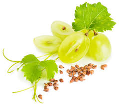 ã€Œhuile pepin de raisinã€ã®ç”»åƒæ¤œç´¢çµæžœ