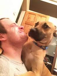 A massive Happy 12 month gotcha day to this little beauty Suzie. Best dog  ever.