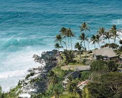 Styles include various hawaiian and tropical shirts, sundresses, and swimsuits as well as sandals, jewelry, bags, and much more. Five Super Cool Surfwear Labels From Hawaii The New York Times