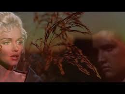 summer kisses winter tears,,, cover by jack suter,,,