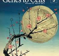 Beautiful cover art from Genes to Cells, a Japanese ...